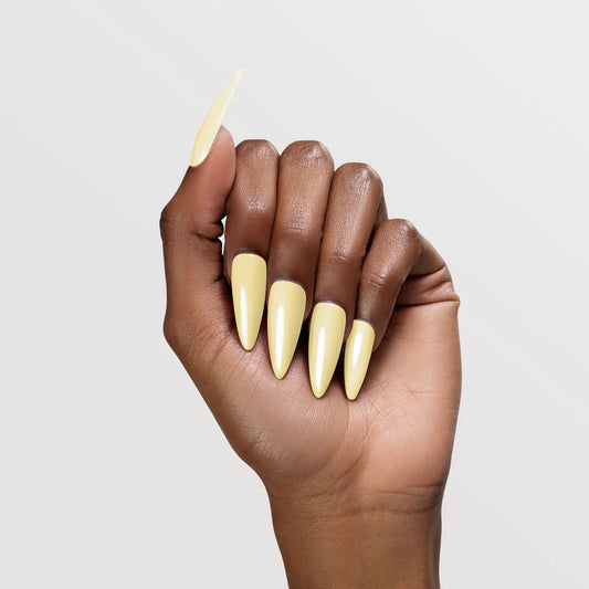 Chaun Legend Fia-Get-Me-Not