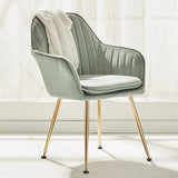 Simple Elegant Salon Chair with Throw